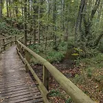 Ferienhaus Friedas In Olsberg-bruchhausen Bruchhausen (Hochsauerlandkreis)