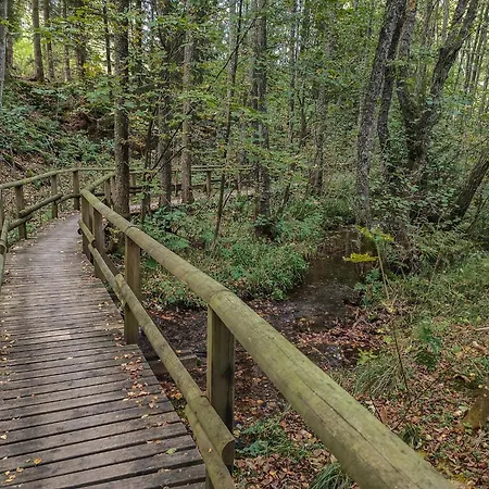 Prázdninový dům Friedas In Olsberg-bruchhausen Bruchhausen (Hochsauerlandkreis)