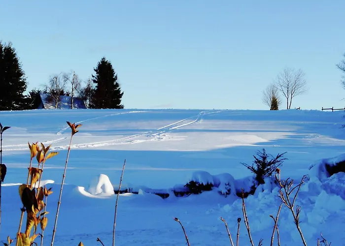 Friedas In Olsberg-bruchhausen