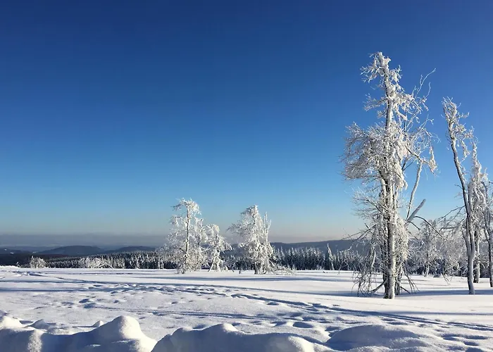 Prázdninový dům Friedas In Olsberg-bruchhausen Bruchhausen (Hochsauerlandkreis)